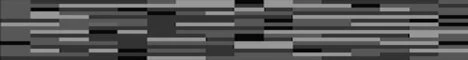 LappiSMP banner