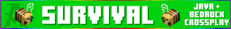 Advancius Network server banner